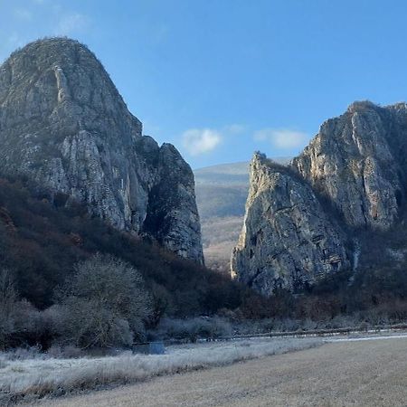 Golemi Kamik Pirot Vlasi Zewnętrze zdjęcie